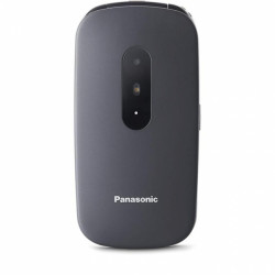 Мобильный телефон Panasonic KX-TU446EXB