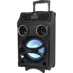 Juhtmevaba kõlar Blaupunkt PB08DB, Bluetooth, 700 W