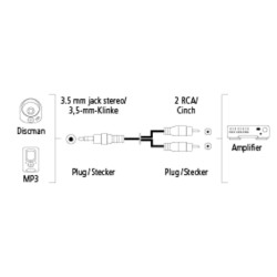 Kaabel 3,5 mm - 2 RCA Hama (3 m)