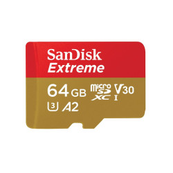 mälukaart 64GB Sandisk