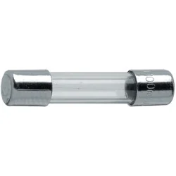 Sulavkaitse 10A 6,3x32mm, ZGS