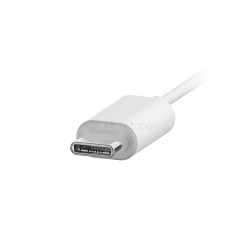 Juhtmega kõrvasisesed kõrvaklapid Philips, USB-C, mikrofon, valge, TAE5008WT/00