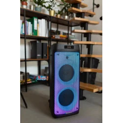 Juhtmevaba kõlar Blaupunkt PB08DB, Bluetooth, 700 W