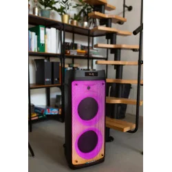 Juhtmevaba kõlar Blaupunkt PB08DB, Bluetooth, 700 W