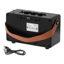 Беспроводная колонка с радио Camry CR1902B, черный