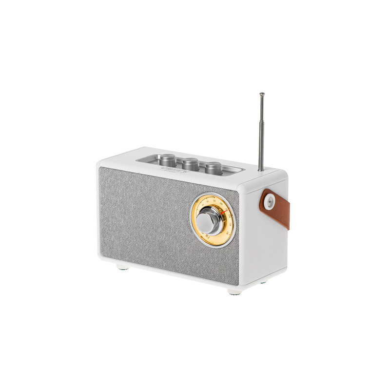 Беспроводная колонка с радио Camry, CR1902W