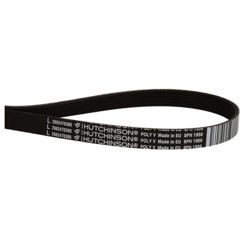 Kuivati rihm 1956 8PH, 2962470100, 8PH1956, 2962470300, C00869717