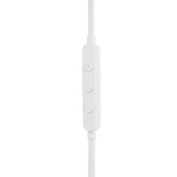 Kõrvasisesed kõrvaklapid JBL Tune 310C USB-C, valge, JBLT310CWHT