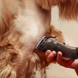 Машинка для стрижки животных Wahl Colour Pro, аккумулятор, черный, 3027682